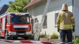 Wespensaison im Bezirk bisher im langjährigen Durchschnitt – Feuerwehren mahnen zu gezieltem Vorgehen