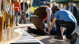 Wespenstich führt in Hainfeld fast zur Tragödie – Ersthelfer retten Frau das Leben