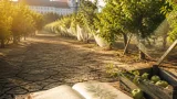 Zwettler Obstgärten zwischen Klostergeschichte und Klimadruck: Was aus dem „Zwettler Apfel“ wurde