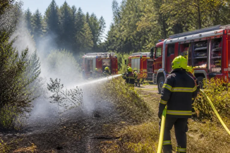Aufmerksamer Feuerwehrmann verhindert größeren Waldbrand in Kowald