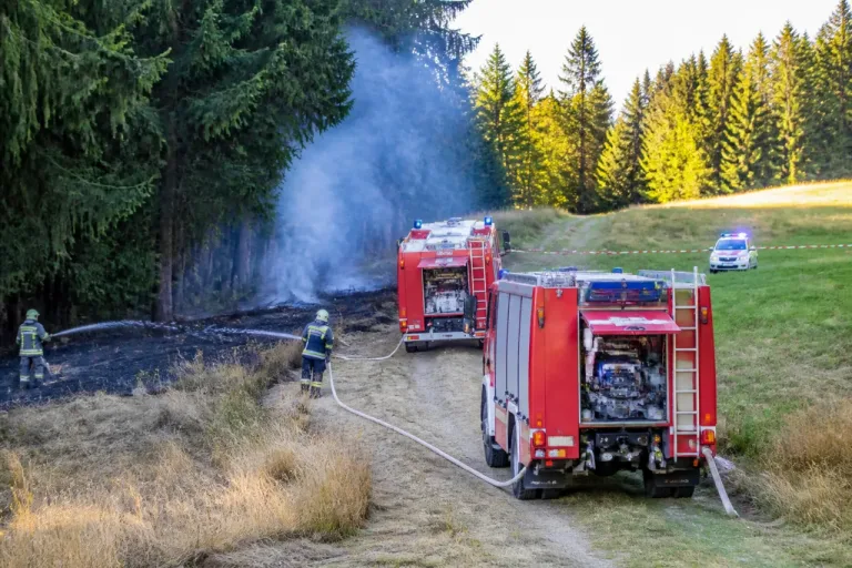 Aufmerksamer Feuerwehrmann stoppt Flammen frühzeitig – Brand in Kowald rasch eingedämmt