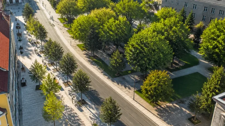Bäume als städtische Klimaanlage: Wie Grünräume Innsbruck merklich abkühlen