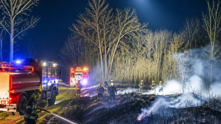Bezirksfeuerwehren im Dauer-Einsatz: Nachlöscharbeiten in Lobau und Groß-Enzersdorf