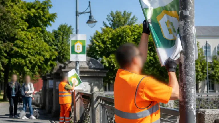 Falsche Amtsplakate in Freiburg: Lehre für Gemeinden und Bürger
