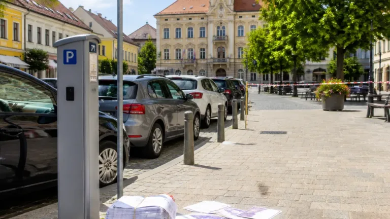 FPÖ klagt gegen Ablehnung einer Volksbefragung zum Parken in Mödling