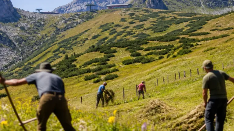 Freiwillige gegen Verbuschung: Wie Obernbergs Bergwiesen geschützt werden sollen