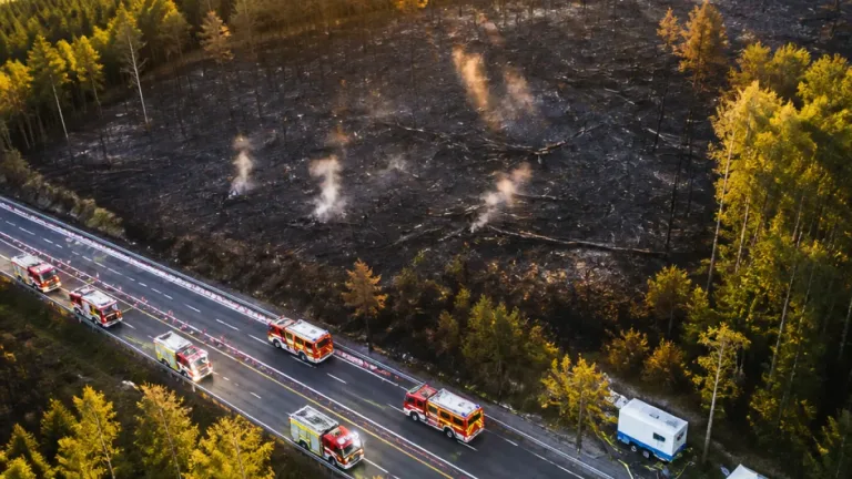 Großbrand bei Sieggraben: 40.000 m² verbrannten, Ermittler klären Ursache