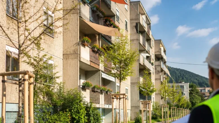 Grüne drängen auf Maßnahmen gegen Hitze: Stadt Leoben braucht Schutz für Bewohner und Bäume
