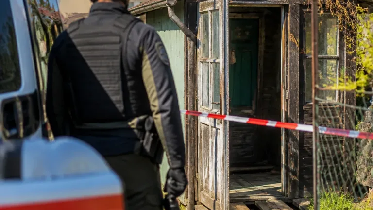 Handgranatenfund bei Wels löst Entschärfungseinsatz aus