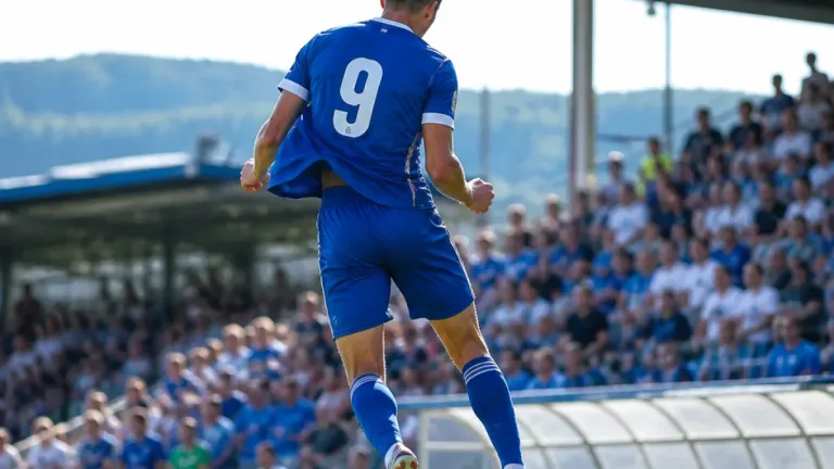 Hartberg verpflichtet kopfballstarken Stürmer: Neuer Angreifer mit Rückennummer 9