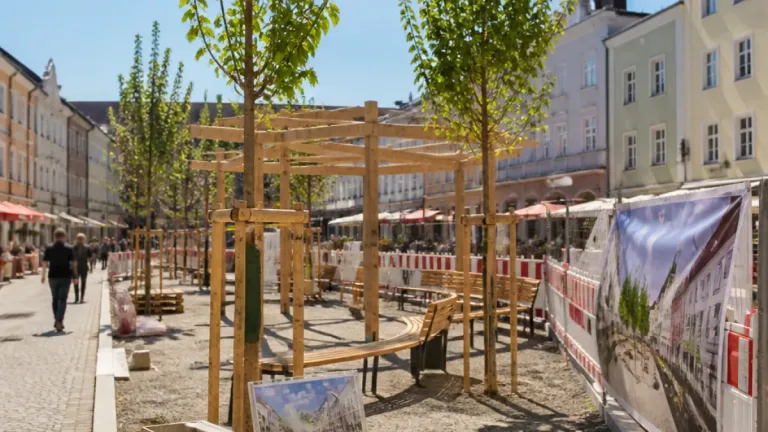 Hauptplatz soll schattiger werden: Pergola und sechs Bäume geplant