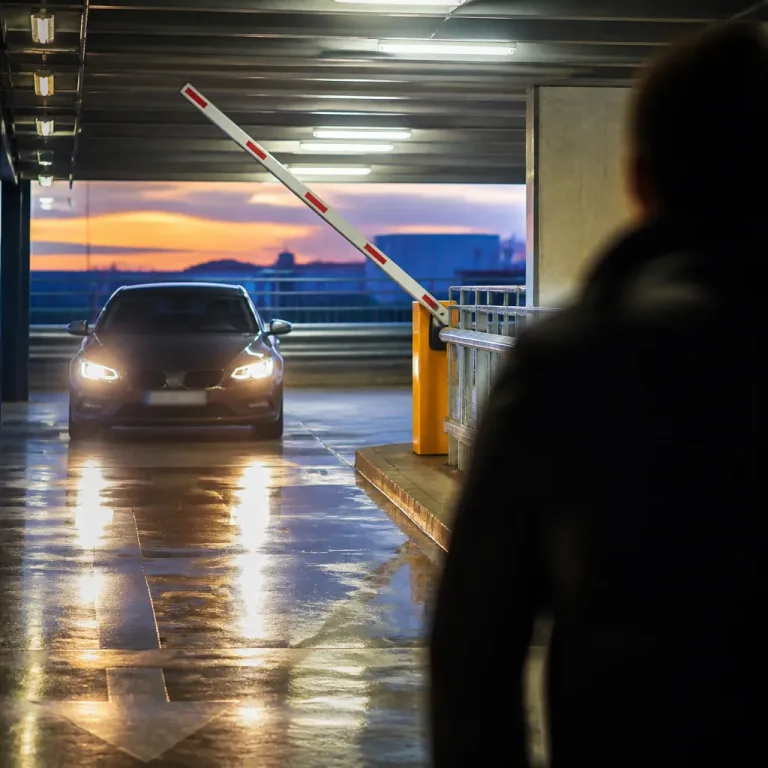 Wenn Kurioses vor Gericht landet: Vier ungewöhnliche Verkehrsrechtsfälle und ihre Folgen