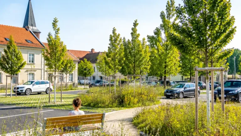 Laxenburg reduziert Asphalt, vervierfacht Baumbestand und setzt auf Blühwiesen