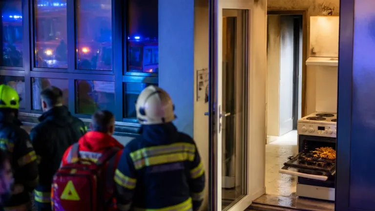 Starker Rauch nach angebranntem Essen löst Großeinsatz in Wels‑Pernau aus