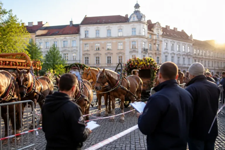 Strengere Regeln für Kirchtags-Umzug: Pferde nur mit Gutachten zur Teilnahme?