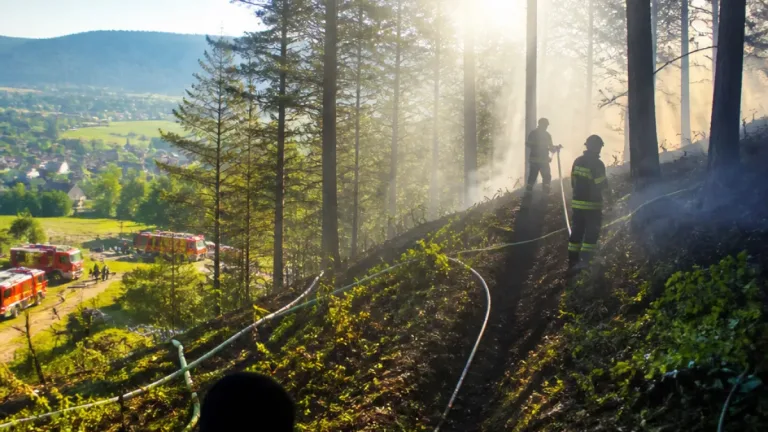 Waldbrand am Gösing: Einsatz in Ternitz mit sechs Feuerwehren verhindert Ausweitung