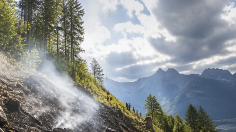 Waldbrand am Zahmen Kaiser: Brandfläche gelöscht — schwieriger Einsatz in unwegsamem Gelände