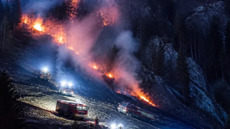 Waldbrand bei Bundesheer-Schießplatz in Molln: Sieben Feuerwehren im Einsatz