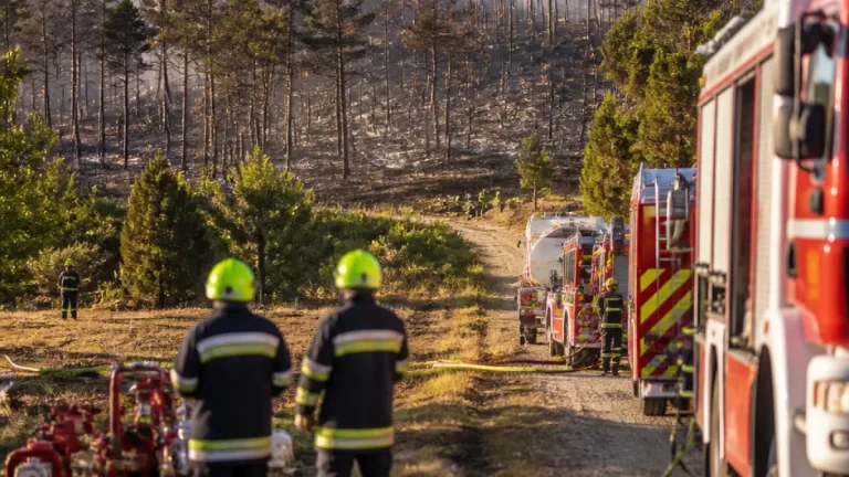 Waldbrand in St. Egyden: Einsatzlage stabil, Glutnester weiter zu bekämpfen