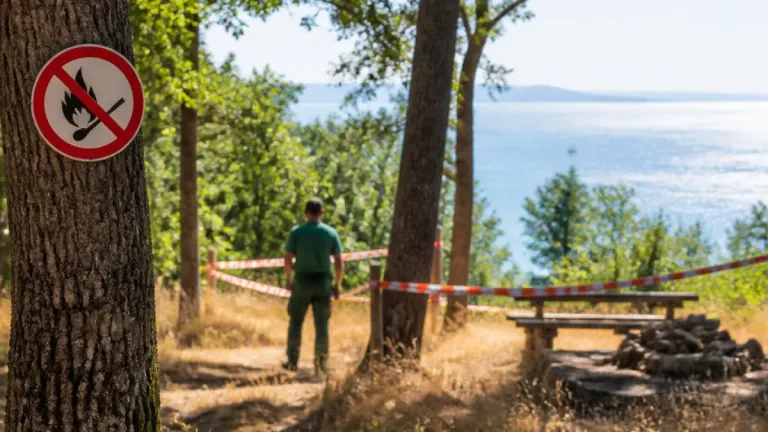Waldbrandgefahr am Bodensee: Was Bewohner aus Baden jetzt beachten sollten
